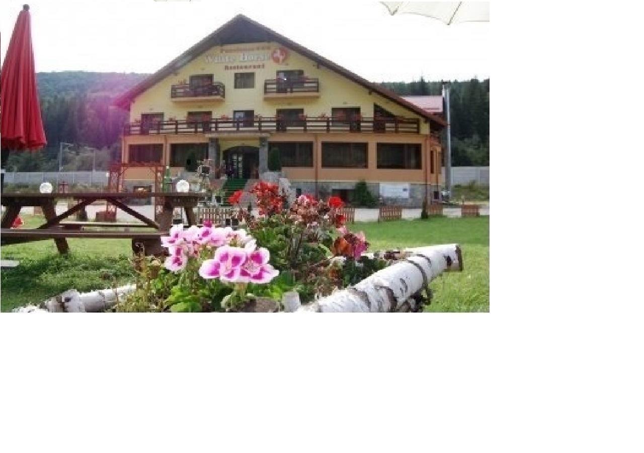 White Horse Hotel Predeal Exterior photo